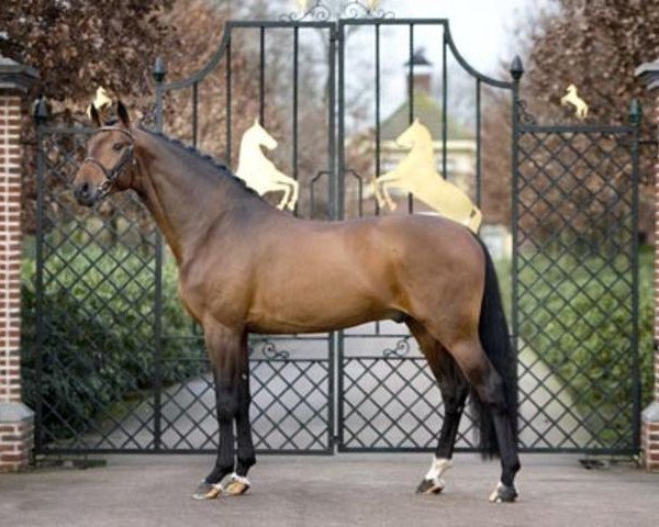 stallion Santano (Oldenburg, 2002, from Sandro Hit)