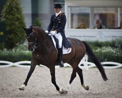 broodmare Sisther de Jeu (KWPN (Royal Dutch Sporthorse), 1999, from Gribaldi)