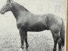 stallion Juragold (Hanoverian, 1936, from Journalist)