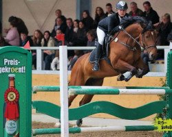 Springpferd Stakkato's Starlet (Deutsches Sportpferd, 2005, von Stakkato Gold)