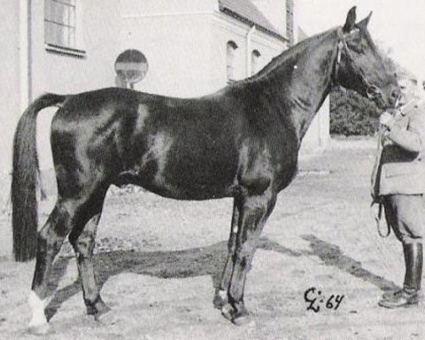 Pferd Rousseau xx (Englisches Vollblut, 1958, von Owen Tudor xx)