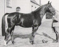 stallion Rousseau xx (Thoroughbred, 1958, from Owen Tudor xx)