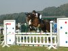 dressage horse Ra-Djaani (Rhinelander, 1993, from Radjah Z)