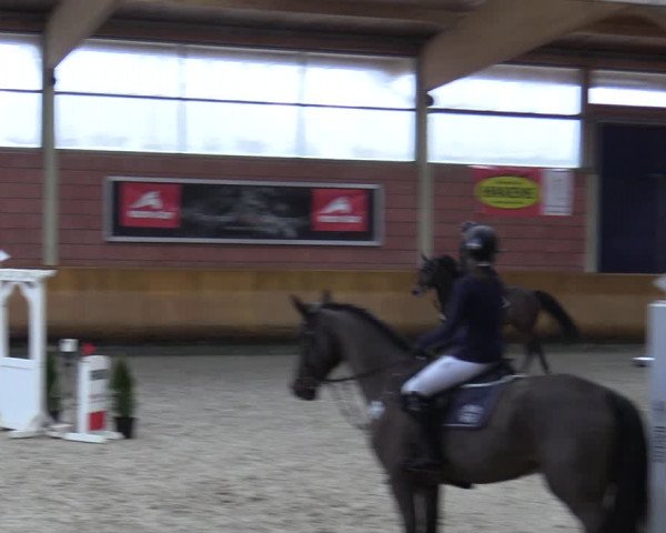 Schloss Wickrath Jumping 2022
