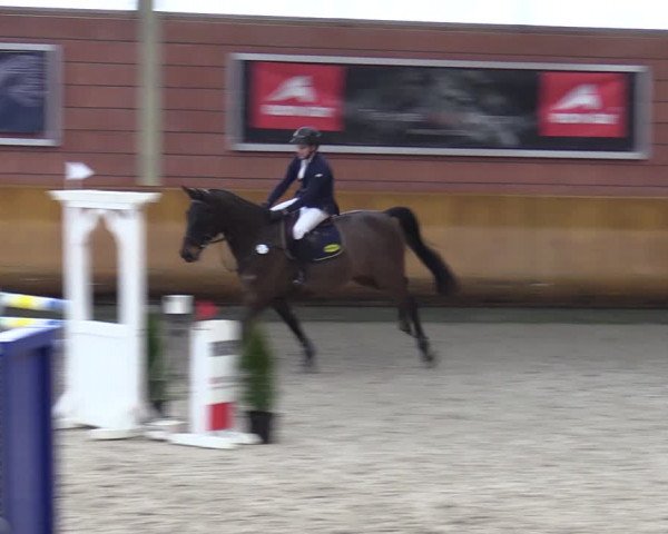 Schloss Wickrath Jumping 2022
