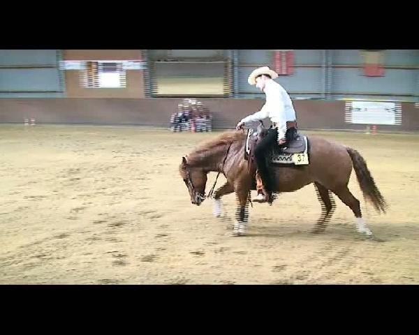NRHA-NRW Regioturnier Overath 
Samstag,02.04.2011
Open
