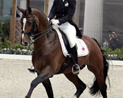 Deckhengst Montecristo (KWPN (Niederländisches Warmblut), 1994, von El Corona)