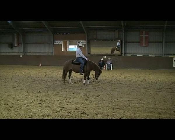 NRHA-NRW Regioturnier Overath 
Samstag,02.04.2011
Jackpot
