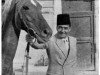 stallion Hamdan II EAO (Arabian thoroughbred, 1957, from Hamdan 1936 RAS)