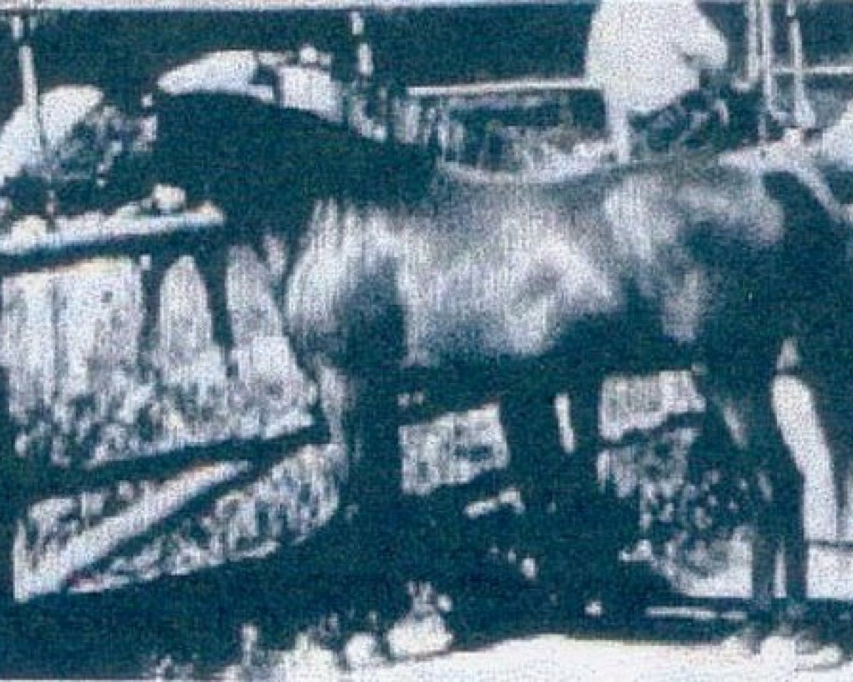 Zuchtstute Fa Aana ox (Vollblutaraber, 1949, von Fadl 1930 RAS)