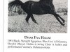 Deckhengst Dhar Faa Halim ox (Vollblutaraber, 1981, von Fabo ox)