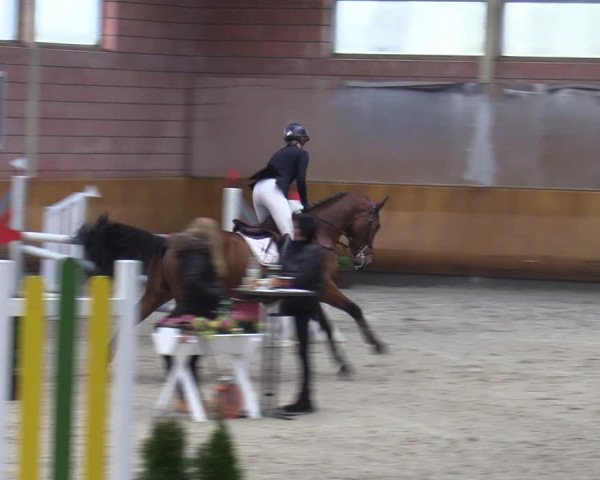 Schloss Wickrath Jumping 2022