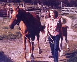 broodmare Follyat ox (Arabian thoroughbred, 1931, from Babyat ox)