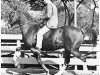 stallion Rabiyas EAO (Arabian thoroughbred, 1936, from Rahas ox)