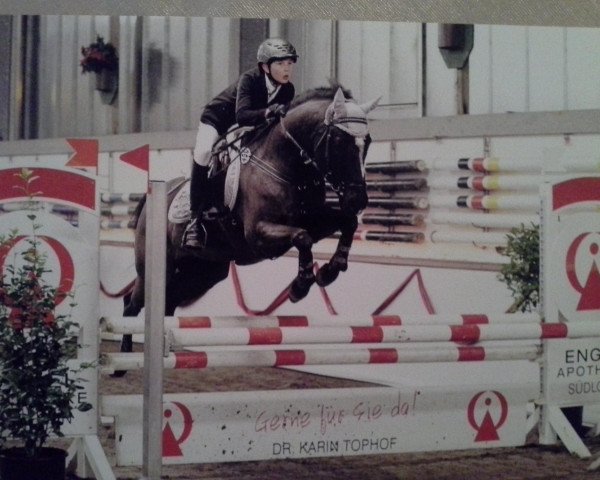 jumper Kenneth 4 (German Riding Pony, 2002, from Kennedy WE)