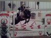 jumper Kenneth 4 (German Riding Pony, 2002, from Kennedy WE)