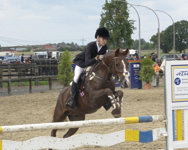 jumper Miss Brandy 2 (New Forest Pony, 2003, from Brandy XIII)