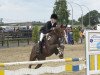 jumper Miss Brandy 2 (New Forest Pony, 2003, from Brandy XIII)