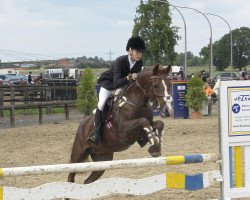 jumper Miss Brandy 2 (New Forest Pony, 2003, from Brandy XIII)