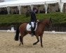 dressage horse Tonka 38 (German Riding Pony, 2000, from Top Nonstop)