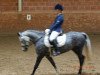 dressage horse Coco Chanel 186 (Welsh-Pony (Section B), 2007, from Green Willow Crisp)