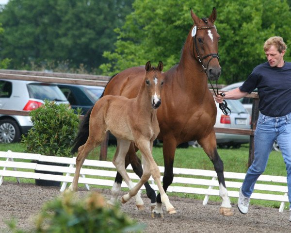 broodmare Aliessa (Oldenburg, 1994, from Alabaster)