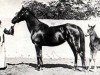 broodmare Ghazieh 1850 DB (Arabian thoroughbred, 1850, from Obeyni DB)