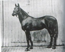 Deckhengst El Emir DB (Vollblutaraber, 1873)
