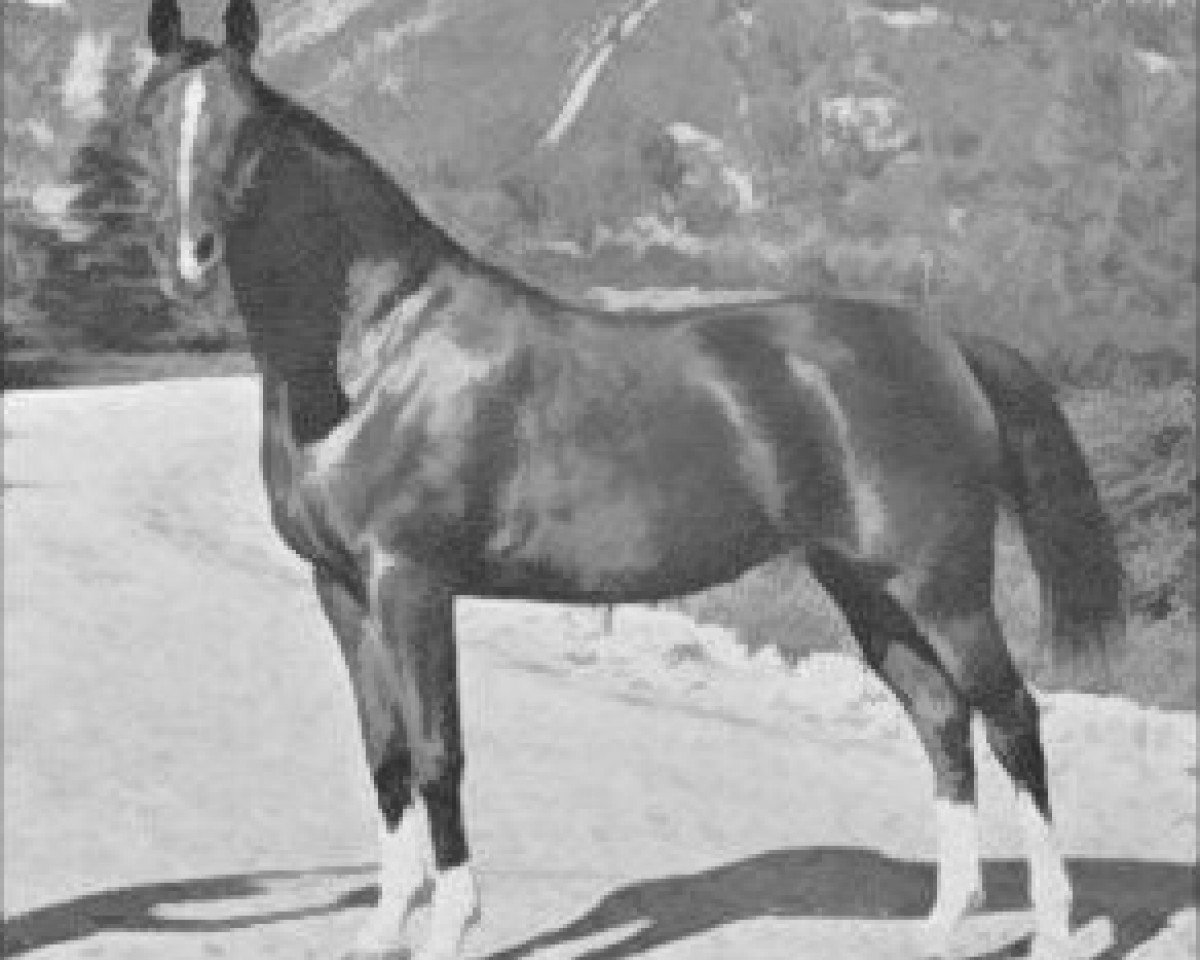 broodmare Rabiyat EAO (Arabian purebred, 1926, from Rehal EAO)