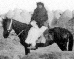 Zuchtstute Jedah DB (Vollblutaraber, 1902)
