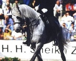 Pferd Moneera Siptah EAO (Vollblutaraber, 1986, von Moneef ox)