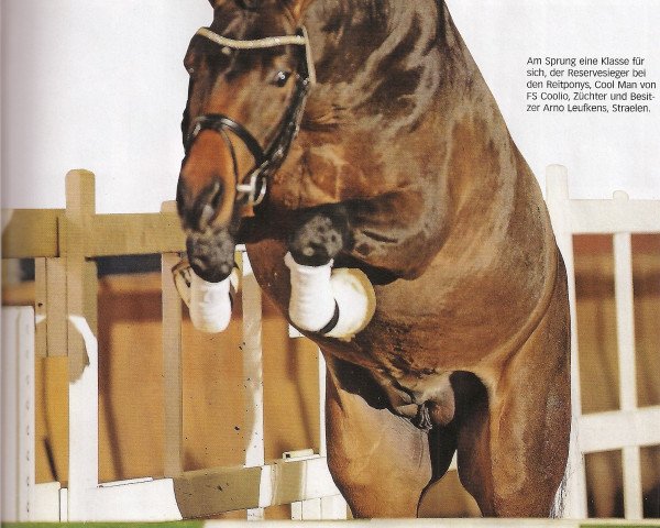 stallion Alposa's Coolman (German Riding Pony, 2011, from FS Coolio)