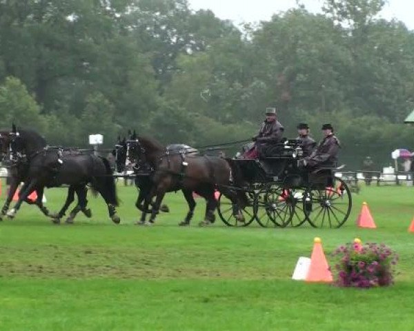 Riesenbeck INTERNATIONAL
Sonntag, 24. Juli 2011
05 Hindernisfahren mit Siegerrunde Zweispänner - CAIO
