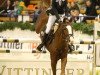 jumper Fort Lauderdale (German Riding Pony, 2004, from For Play)