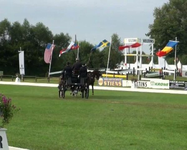 Riesenbeck INTERNATIONAL
Friday, July 22nd 2011
03 Dressage Competition CAI – Teams 3. Competition Derby
