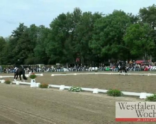 Westfalen-Woche Münster-Handorf
Freitag, 29. Juli 2011
42 Dressurprüfung Kl. L - Kür der Mannschaften 
