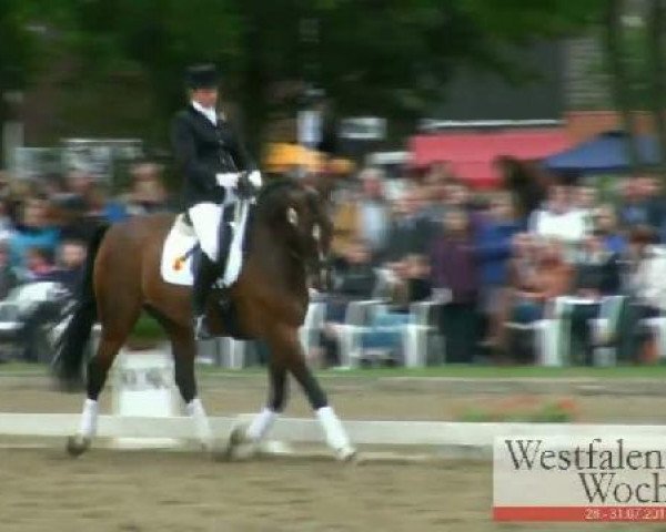 Westfalen-Woche Münster-Handorf
Freitag, 29. Juli 2011
42 Dressurprüfung Kl. L - Kür der Mannschaften 
