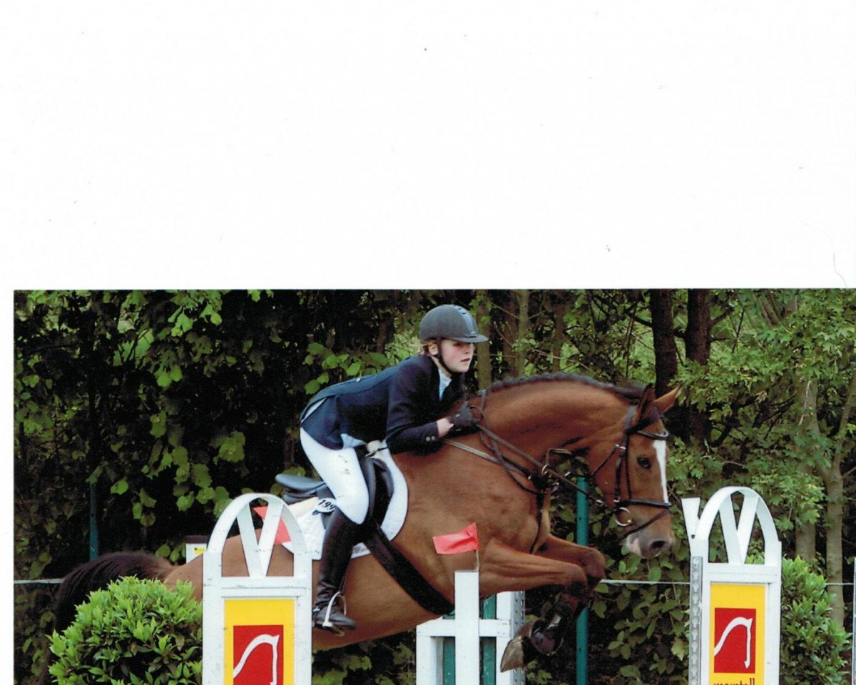 Zuchtstute Quite Activity (Oldenburger Springpferd, 2003, von Quite Easy I)