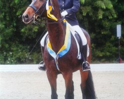 dressage horse Hans im Glück 5 (Oldenburg, 2001, from Harvard)