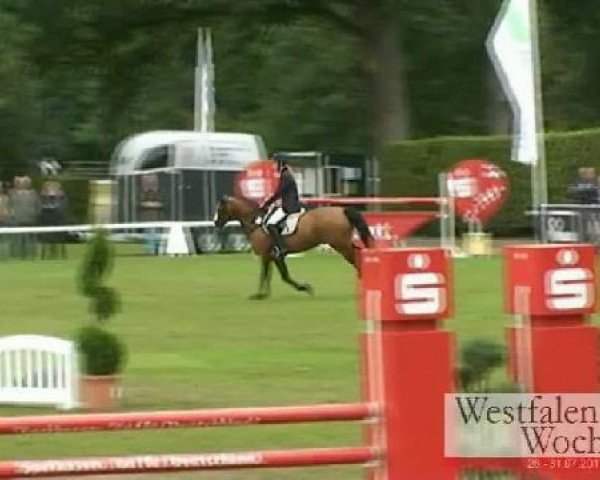 Westfalen-Woche Münster-Handorf
Samstag, 30. Juli 2011
36 Springponyprüfung Kl. L -6j. Ponys