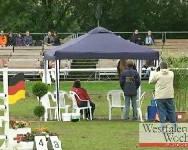 Westfalen-Woche Münster-Handorf
Samstag, 30. Juli 2011
60 Springprüfung Kl. M*
