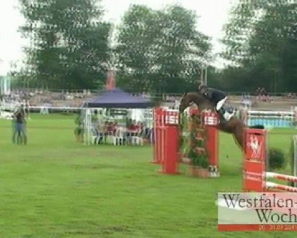 Westfalen-Woche Münster-Handorf
Mittwoch, 27. Juli 2011
28 Springprüfung Kl. M** -6j. Pferde
