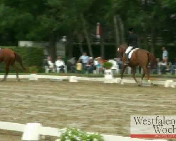 Westfalen-Woche Münster-Handorf
Donnerstag, 28. Juli 2011
01 Reitpferdeprüfung - 3j. Stuten und Wallache 

