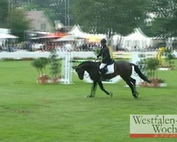 Westfalen-Woche Münster-Handorf
Mittwoch, 27. Juli 2011
27 Springpferdeprüfung Kl. M* -5j. Pferde
