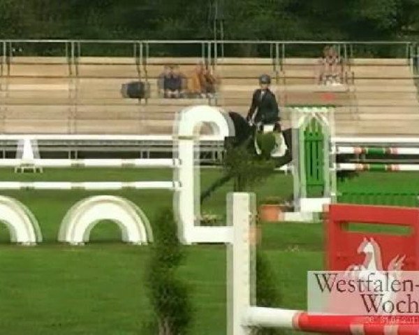 Westfalen-Woche Münster-Handorf
Mittwoch, 27. Juli 2011
26 Springpferdeprüfung Kl. L -5j. Pferde
