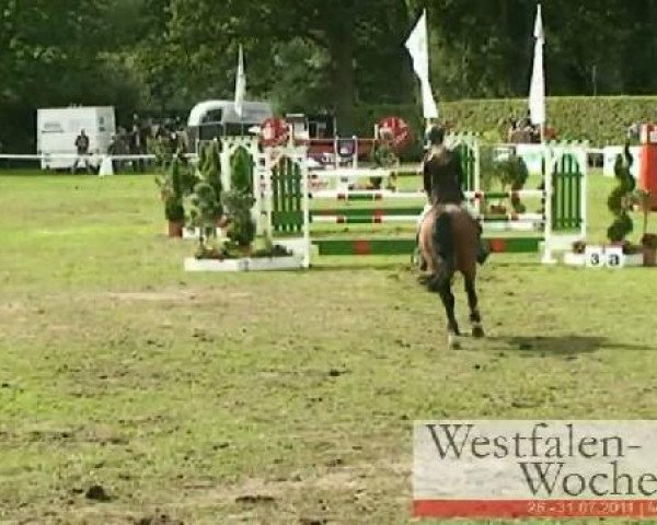 Westfalen-Woche Münster-Handorf
Freitag, 29. Juli 2011
35 Springponyprüfung Kl. L** - 6 jähr. Ponys
