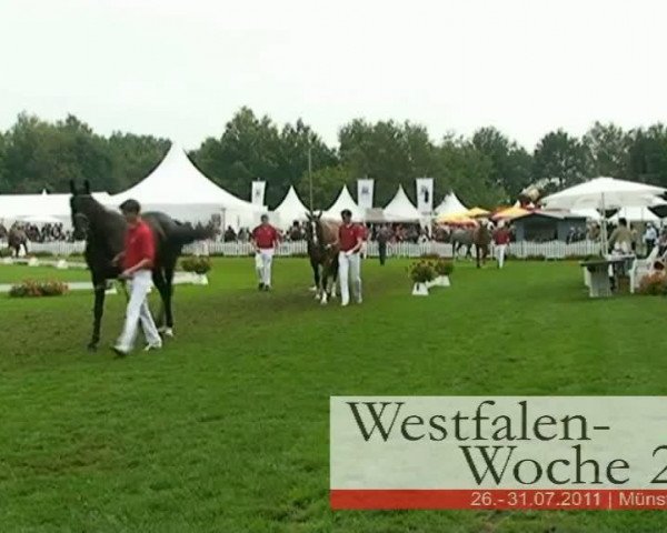 Video of Double Duchess Kc