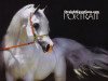 stallion Imperial Baarez ox (Arabian thoroughbred, 1996, from PVA Kariim ox)