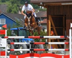 jumper Osiris du Goyen (Selle Français, 2002, from Le Tot de Semilly)