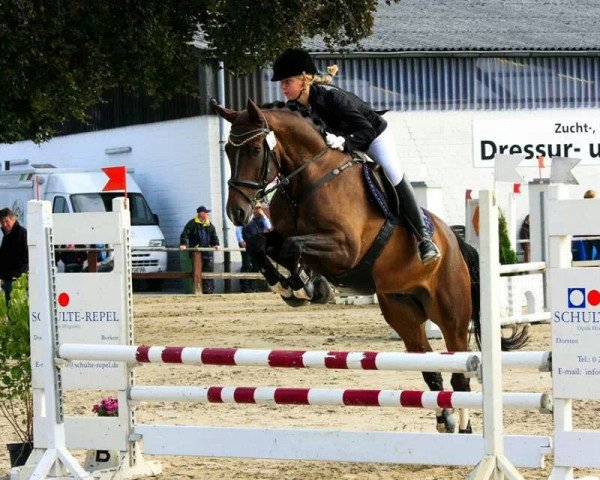 dressage horse Fragoli (Oldenburg, 2006, from Farewell III)